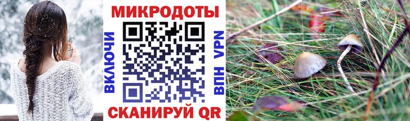 Псилоцибиновые грибы мицелий  Купить  Арск 